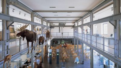 Inatura Museum, Dornbirn