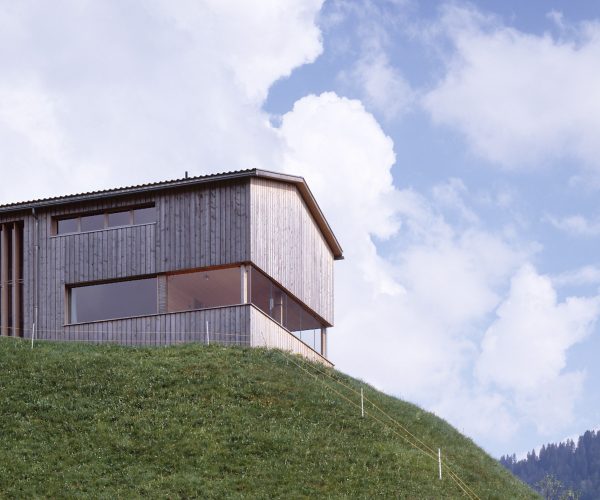 Kopf, Au, Photo Bruno Klomfar