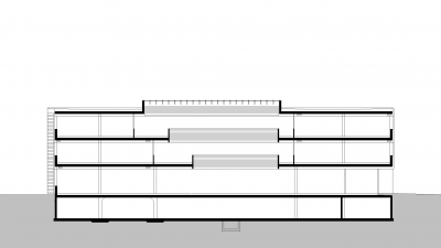 Impulszentrum, Egg, longitudinal section