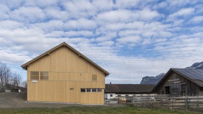 Farming Estate Rheinhof-Kühllager, Hohenems