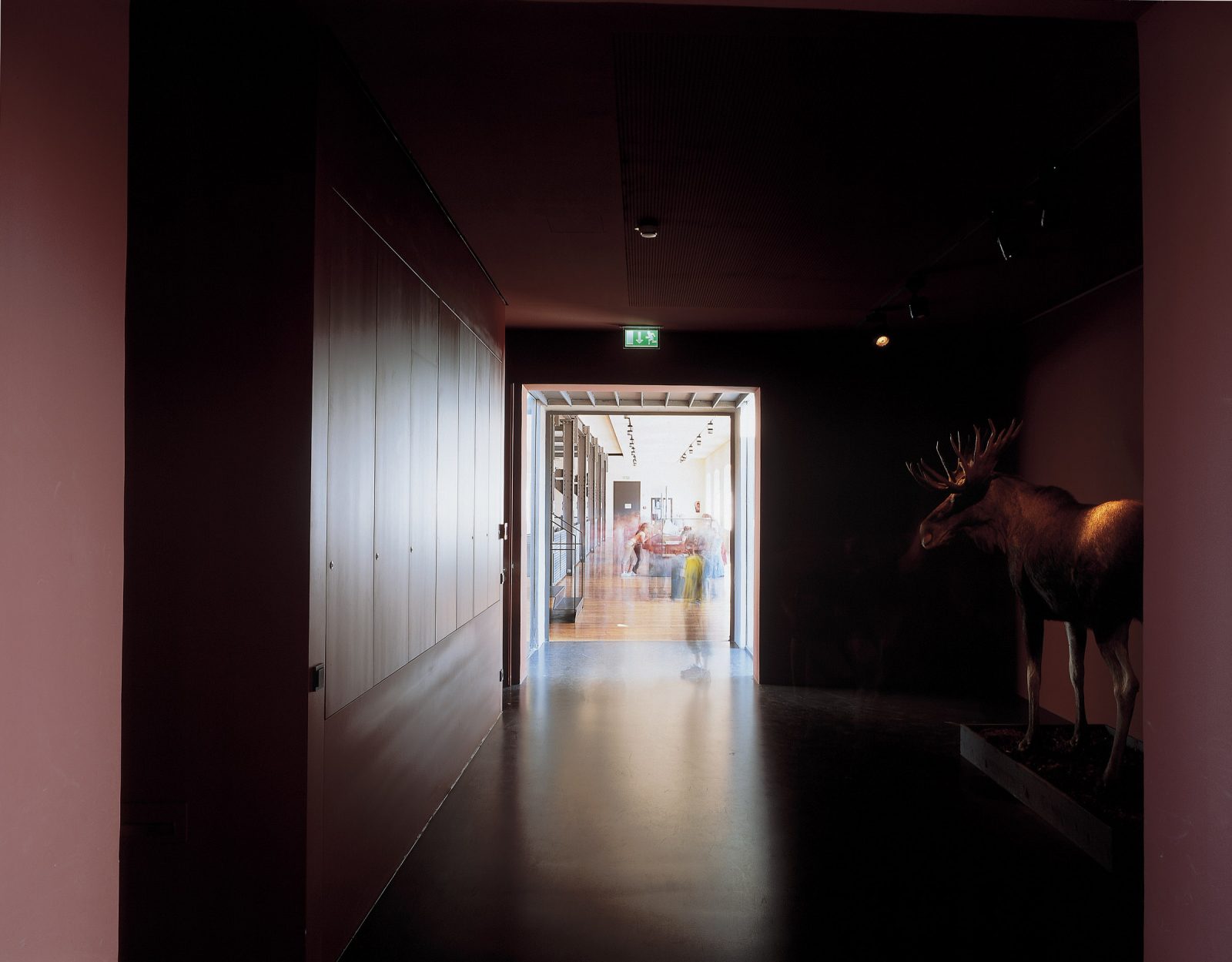 Inatura, Dornbirn