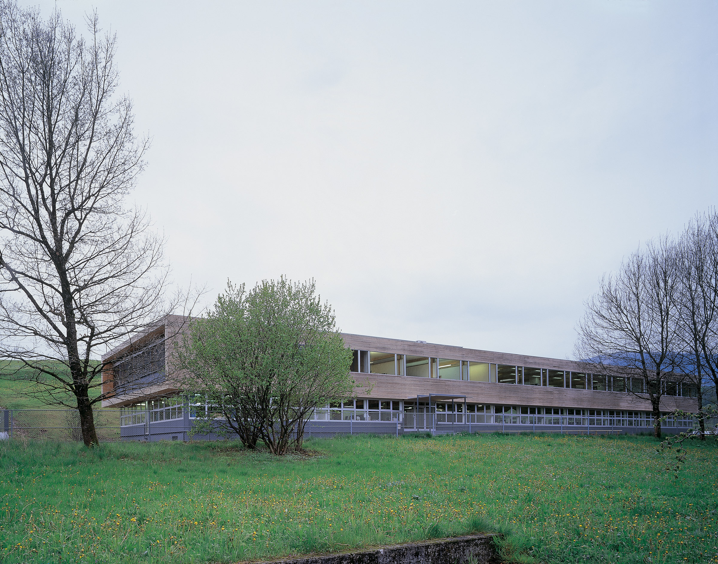 Dorner Electronic, Egg