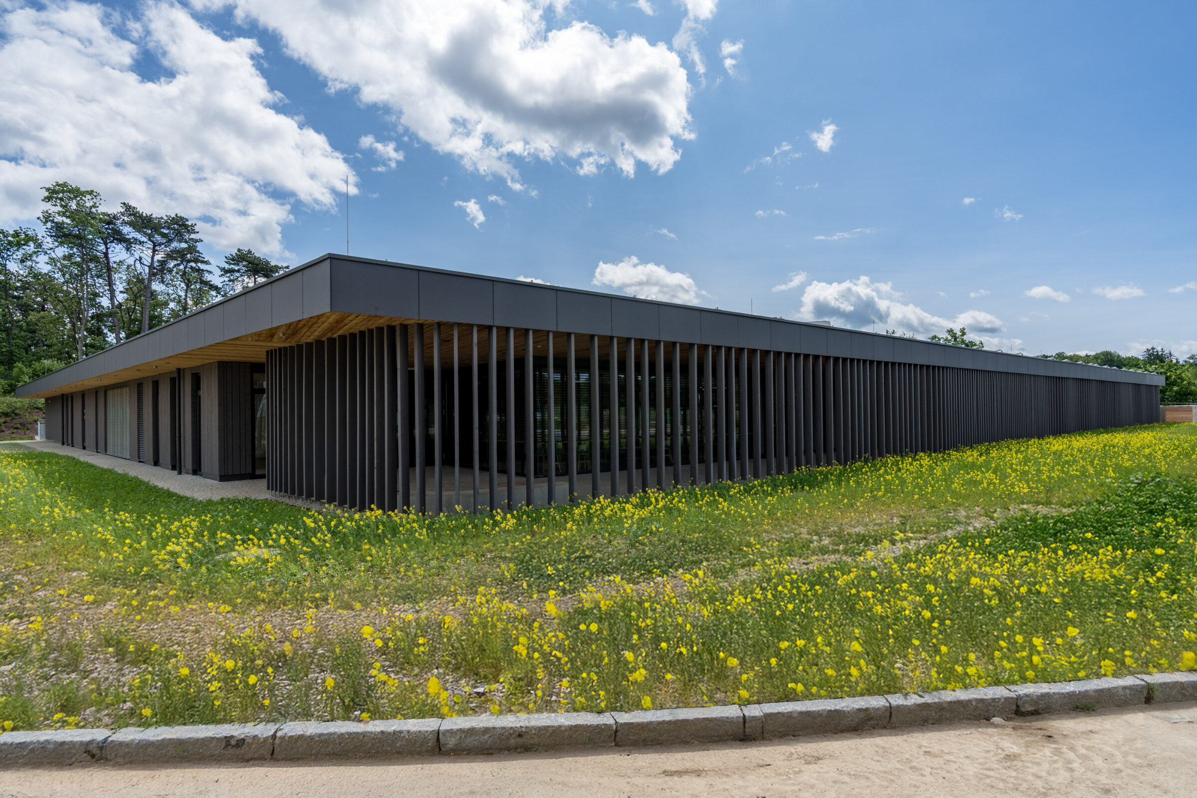 Kindertagesstätte, Ulm, Projekt 21_13