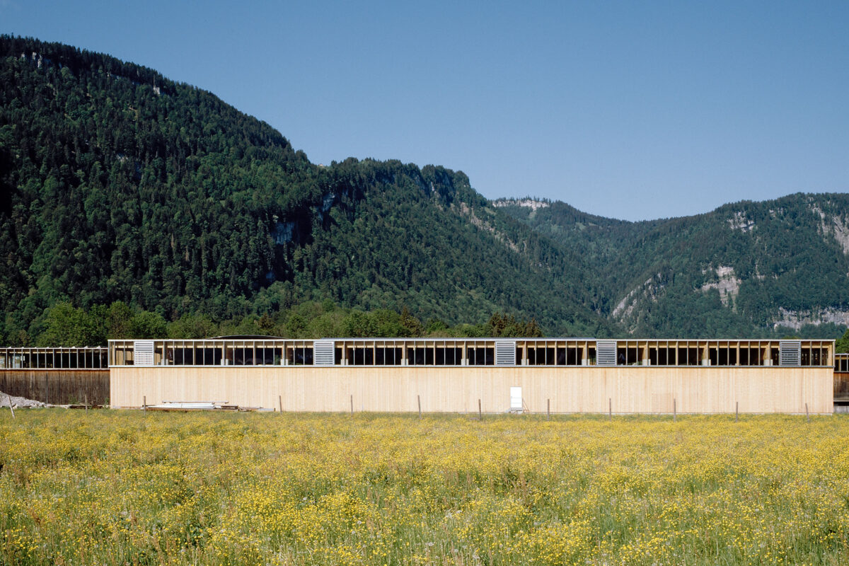 Wälderhaus BA 2, Bezau