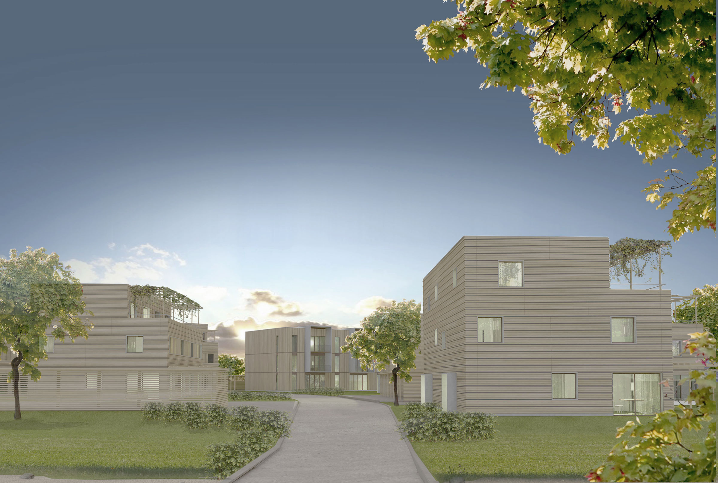 Wettbewerb City of Wood