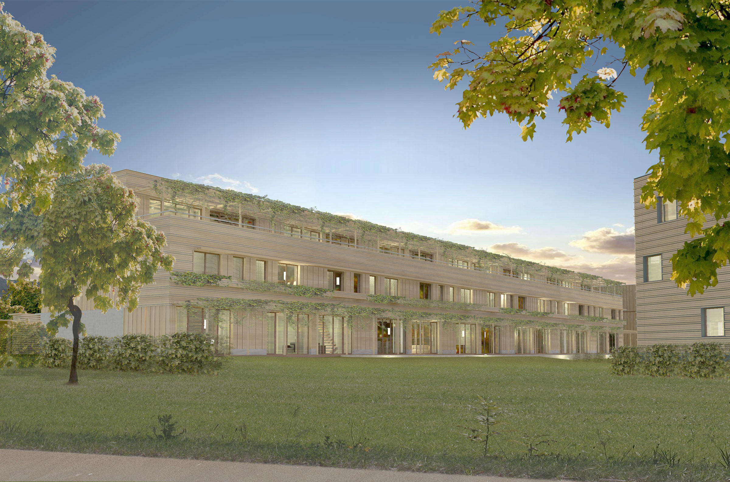 Wettbewerb City of Wood