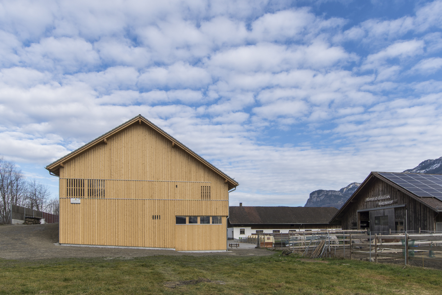 Gutsbetrieb Rheinhof-Kühllager, Hohenems,