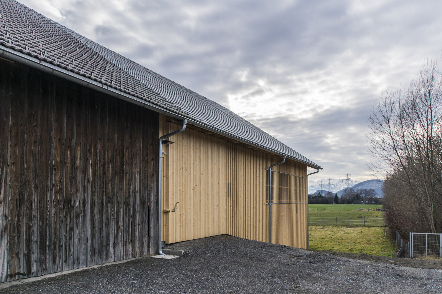 Gutsbetrieb Rheinhof-Kühllager, Hohenems,