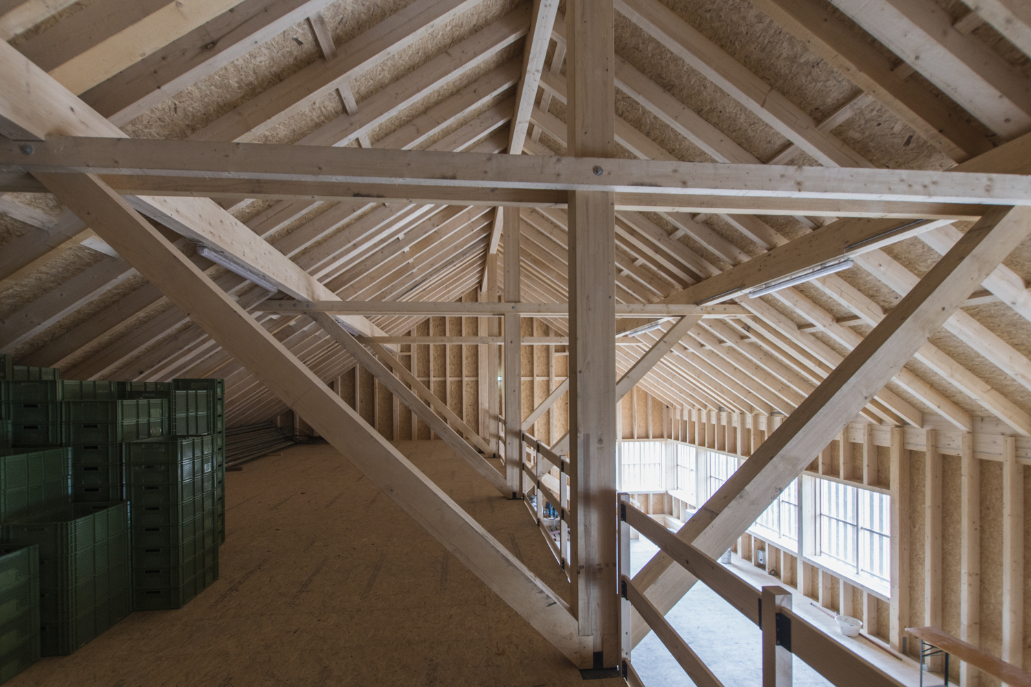 Gutsbetrieb Rheinhof-Kühllager, Hohenems