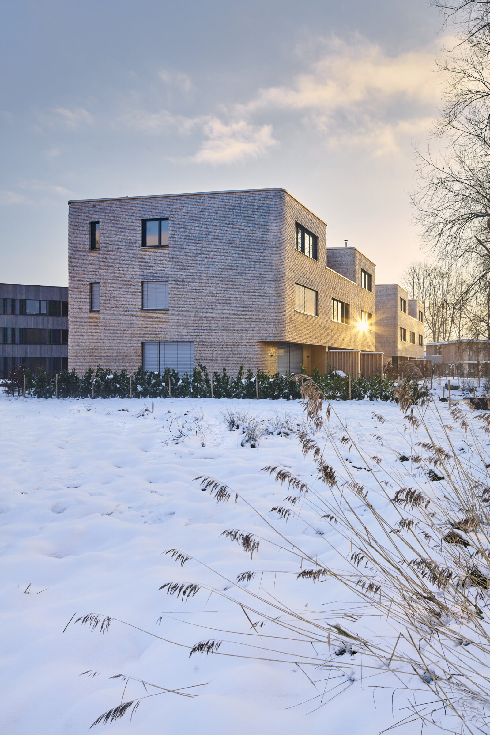 B&O Villen, Bad Aibling | Foto Eder-Holzbau