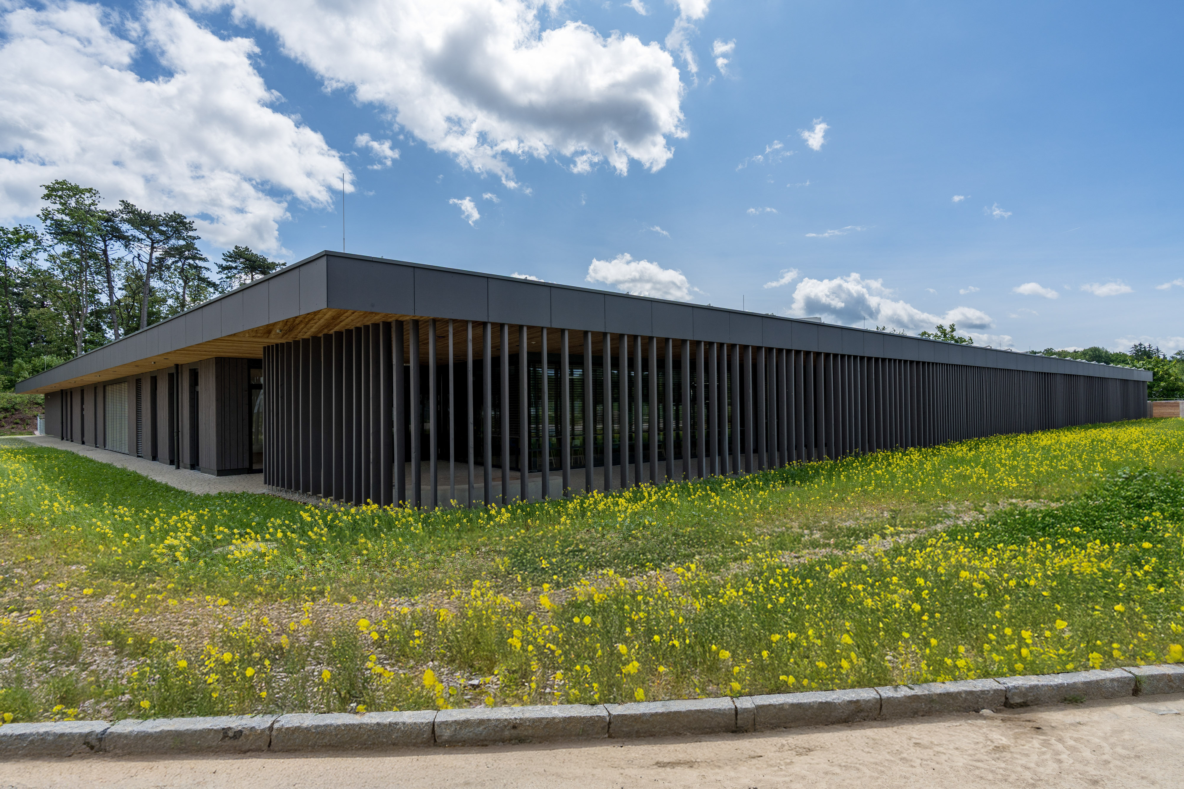 Kindertagesstätte, Ulm, Projekt 21_13