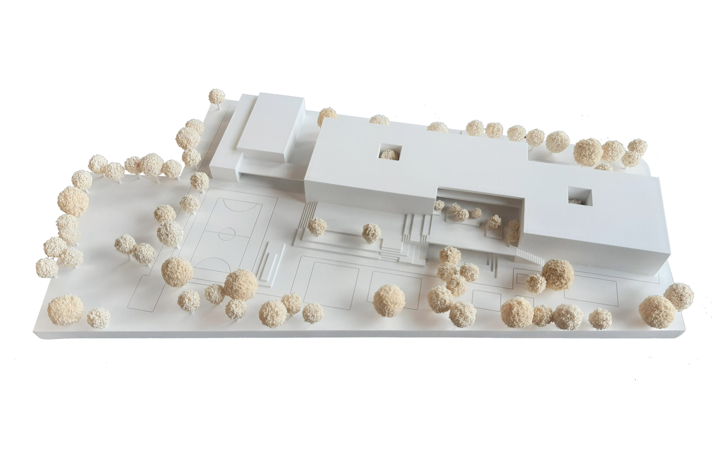 Friedrich-Fröbel-Schule, Frankfurt am Main